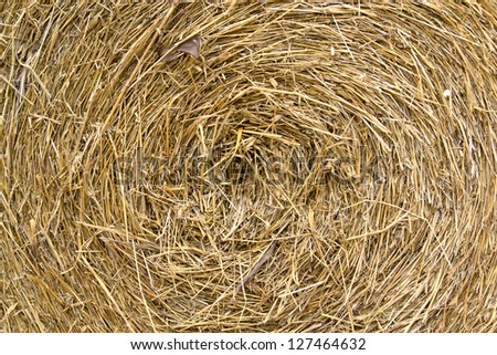 Similar – Image, Stock Photo #S# Straw spiral Nature