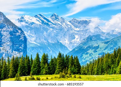 Swiss Alps/ Mountains/ Forest