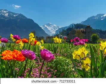 スイス インターレーケンのスイスアルプスバレーと花 の写真素材 今すぐ編集
