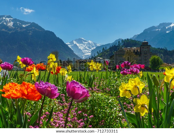 スイス インターレーケンのスイスアルプスバレーと花 の写真素材 今すぐ編集