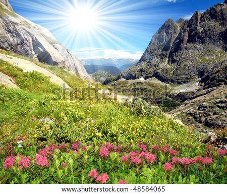 Swiss Alps-Europe