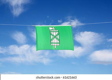 Swiss Canton Flag Series: St. Gallen: The fasces on a green background dates back to ancient Rome. If judges appeared in public, two or more lectors led their way as a symbol of the judiciary.