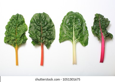 Swiss Chard Image