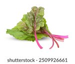 swiss chard leaf isolated on white background