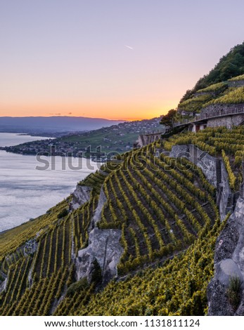 Swiss landscape over the vineyards in Lavaux VD, Switzerland while enjoying a beautiful sunset.