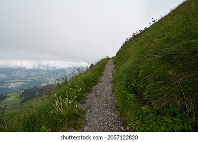 Swiss Landscape With Path Going Up Through Fresh Green Grass With Mountain Flowers.