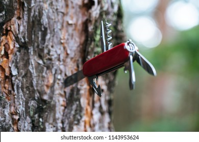 Swiss military multipurpose knife pounded in tree
