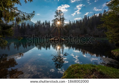 Similar – morgenstund Wald Bäume