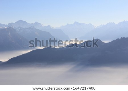 Similar – Image, Stock Photo Last year, in summer, in the Alps …