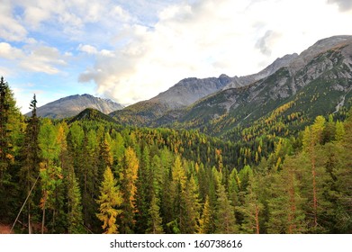 Swiss National Park In The Autumn