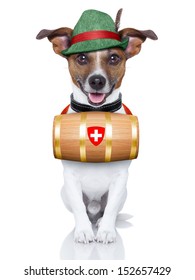 Swiss Rescue Dog With A Barrel And A Green Hat