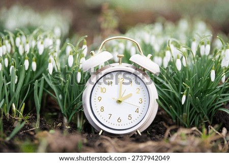 Switch to daylight saving time in spring, summertime changeover, alarm clock with snowdrop flowers in spring