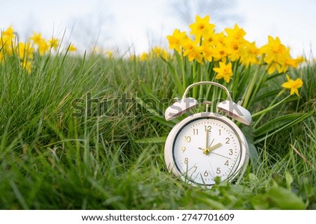 Switch to daylight saving time in spring, summertime changeover, alarm clock with daffodils flowers on meadow, blue sky