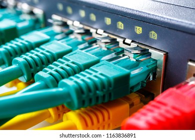 switch for Internet access in it are inserted different color cables patchcords, glowing switch ports