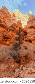Switchback hiking trail through Bryce Canyon in Utah, USA