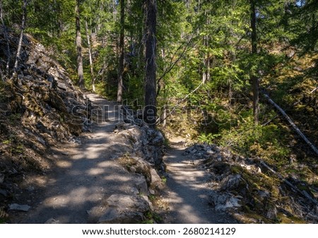 Switchbacks on the Thunder Knob trail by Diablo Lake in North Cascades National Park