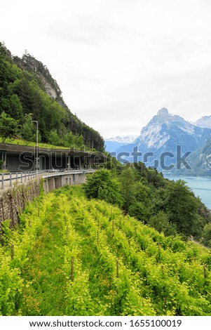 Similar – View of Lake Lucerne from Niederbauen