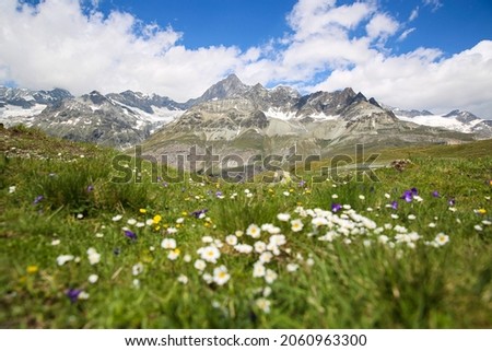 Switzerland nature mountains or vally Stock photo © 
