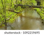 A swollen spring stream flows through the Indiana Dunes SP.