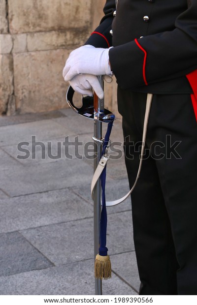 Sword of the ceremonial uniform of the Carabinieri\
military corps, Italian army, detail with the frieze, cockade and\
coat of arms