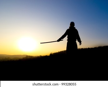 Swordsman Silhouette