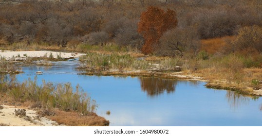 Sycamore Creek On A Sunny Day, Del Rio, TX/USA (Jan. 2, 2020)