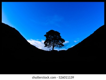 Sycamore Gap