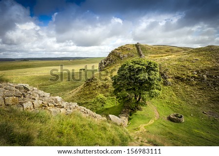 Sycamore Gap on Hadrians wall in northumberland.This iconic tree was used as a location in the film Robin Hood Prince of thieves, and is a notable point in the midst of Hadrians Wall.