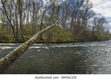 Sycamore Shoals In Elizabethton, Tennessee