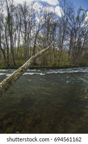 Sycamore Shoals In Elizabethton, Tennessee