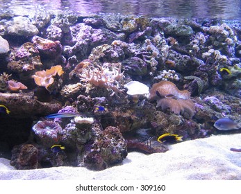 Sydney Aquarium