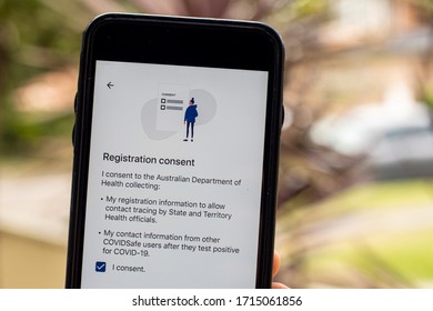 Sydney, Australia 2020-04-26 Hand Holding A Phone With CovidSafe App. Registration Consent Screen. Australian Government Introduced New COVID-19 Trace Tracking App