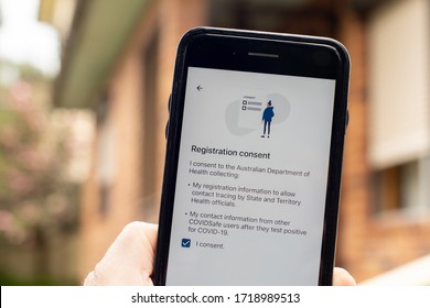 Sydney, Australia 2020-04-26 Hand Holding A Phone With CovidSafe App. Registration Consent Screen. Australian Government Introduced New COVID-19 Trace Tracking App