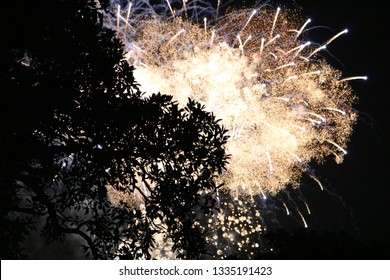 Sydney Australia NYE 2019 Fireworks Seen From Observatory Hill Sydney