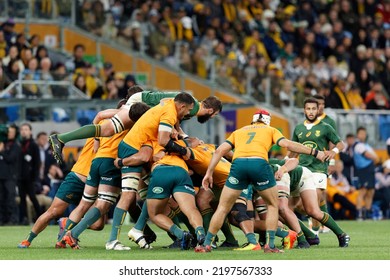 SYDNEY, AUSTRALIA - SEPTEMBER 3: Lodewyk De Jager Of South Africa On Top Of The Scrum During The Rugby Championship Match Between The Australia Wallabies And South Africa Springboks At Allianz Stadium