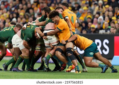 SYDNEY, AUSTRALIA - SEPTEMBER 3: A Scrum During The Rugby Championship Match Between The Australia Wallabies And South Africa Springboks At Allianz Stadium On September 3, 2022 In Sydney, Australia