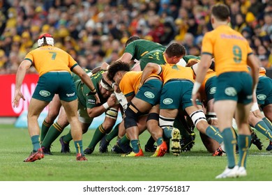 SYDNEY, AUSTRALIA - SEPTEMBER 3: A Scrum During The Rugby Championship Match Between The Australia Wallabies And South Africa Springboks At Allianz Stadium On September 3, 2022 In Sydney, Australia