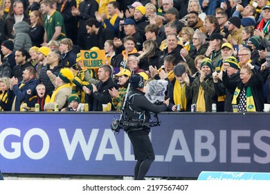 SYDNEY, AUSTRALIA - SEPTEMBER 3: Wallabies Fans Celebrate During The Rugby Championship Match Between The Australia Wallabies And South Africa Springboks At Allianz Stadium On September 3, 2022