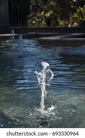 Sydney Australia, Water Spout In Garden Pond