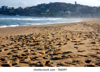 Sydney Beach - Curl Curl