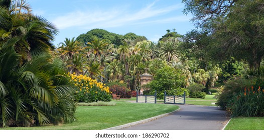 Sydney Botanical Gardens