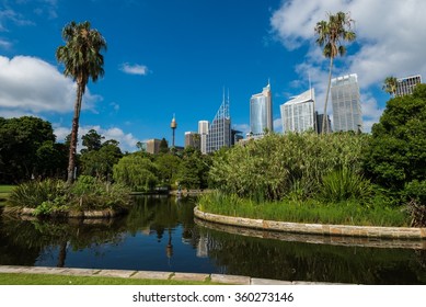 Sydney Botanical Gardens