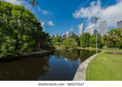 Sydney Botanical Gardens