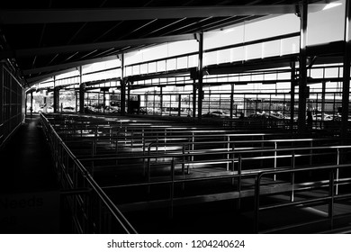 Sydney, June 2018. An Empty Taxi Queuing In Sydney International Airport, During The Morning.