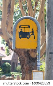 Sydney, New South Wales, Australia. 12/29/2019. Bus Stop Sign With A Dry Tree In The Background.