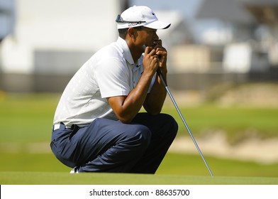 SYDNEY - NOV 11: Tiger Woods examines his putt in the second round in the Australian Open at The Lakes golf course. Sydney, November 11, 2011