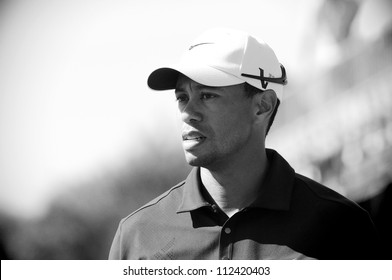 SYDNEY - NOV 12: American Tiger Woods in the third round in the Australian Open at The Lakes golf course. Sydney