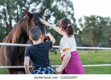 Sydney NSW Australia May 2020: children patting friendly horse in horse paddock 