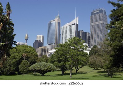 Sydney Skyline From The Royal Botanic Gardens