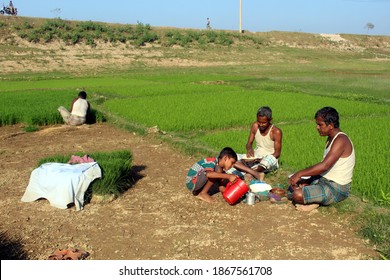 Sylhet, Bangladesh - 17 December 2017: Farmers Are Working On The Paddy Seedbed, They Are Eating Lunch Sitting In The Field Due To Their Busy Schedule. Teenage Member Of The Family Is Helping Them.